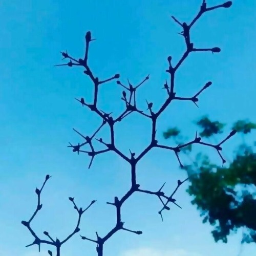 Session 197 - Multidimensional Dub - played live on WTMO