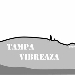 Tampa Vibreaza #027