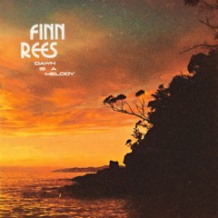 Finn Rees - Between Spaces