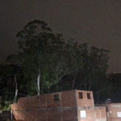 MEU BIGODIN DE TRALHA- DJ ANTES E DEPOIS