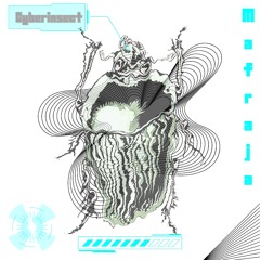 Mafraja - CyberInsect