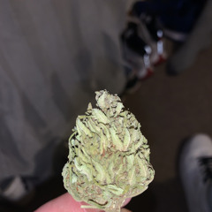 Legalise it Prod.TOKE