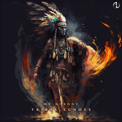 Mr. Nobody - Tribal Echoes