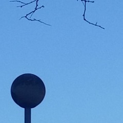 Panique pas