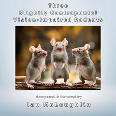 Three Slightly Contrapuntal Vision-Impaired Rodents