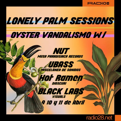 Lonely Palm Sessions w_ NUT