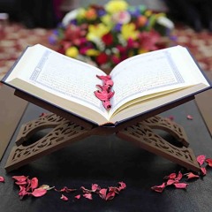 مختارات من القران الكريم