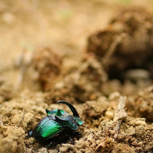 HK_Calm-&-Steady_tracks_169