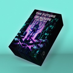 The Future Of House - Serum Soundbank Demo
