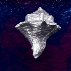 silver shell