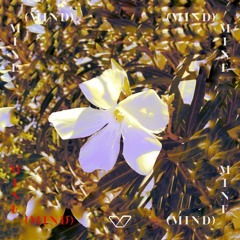 Mine (Mind)