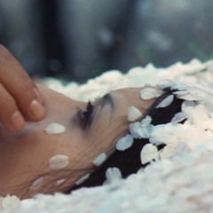 [Stream] Under the Blossoming Cherry Trees (1975) High-Quality 720p Video diQQQ