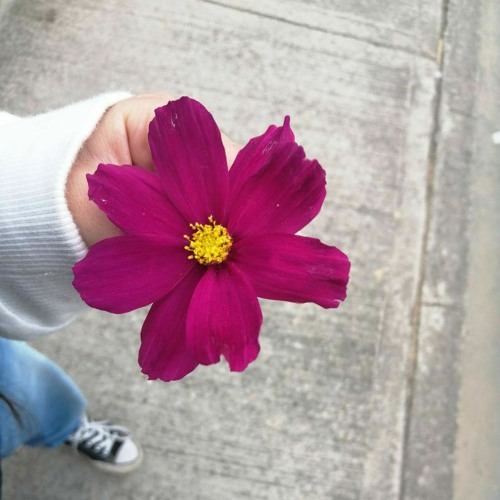 Dame Tu Mano (prod.@juanflac)