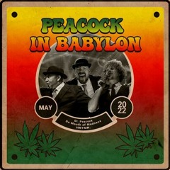 Dr. Peacock & Da Mouth of Madness feat. HRTMN. - Peacock in Babylon