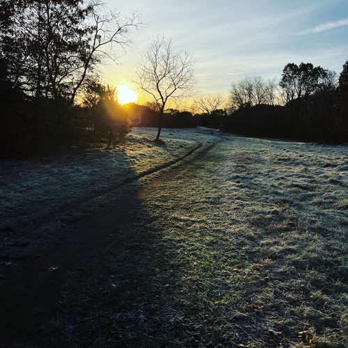 Sunrise Frost