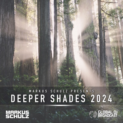 Markus Schulz - Deeper Shades 2024 (2 Hour Progressive and Organic House Mix)