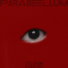 Premiere: Delaram Kamareh - Necessary Shiva [Wannabe A Frog Records]
