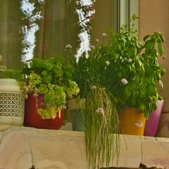 wasted time (prod. yungspoiler)