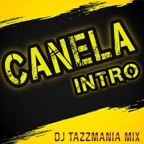 Miguel Angel Ft Alejandro Santander - Mix Encumbiados (Canela Intro) 141BPM