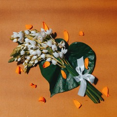 новости-Алоэ вера