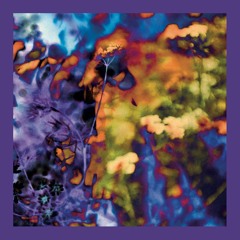 Today (Ft. Robert Owens) (Extended Play)