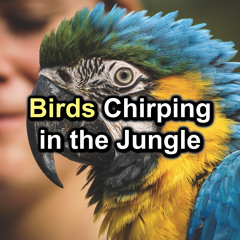 Sounds of Jungle Birds