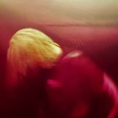 staytomyside [@1kevtalktoem]