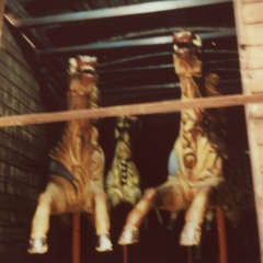 Watching a Wasp Try and Drink Diet Cola (Demo)