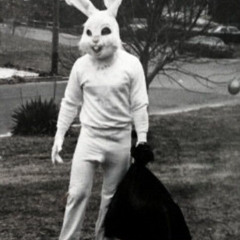 what else did you lie about