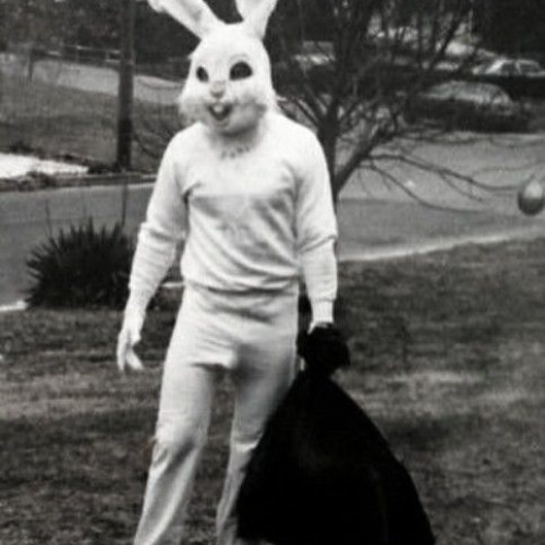 what else did you lie about