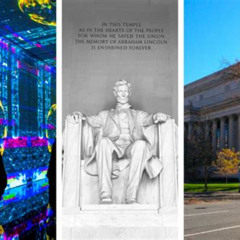 Best Things To Do In Washington Dc Alone Tours Reviews