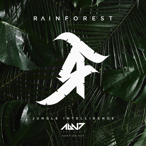 Rainforest - Jungle Intelligence Previews