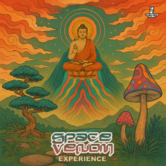 Space Venom - Experience