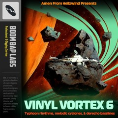 Vinyl Vortex 6 Audio Preview