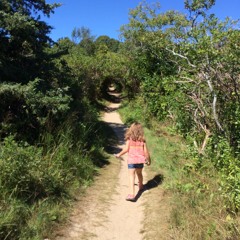 Call Of The Mushroom Forest