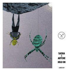 Hold On (Artche Mix)