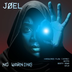[FREE DL] JØEL - WILD
