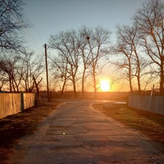 тиша цитринки...