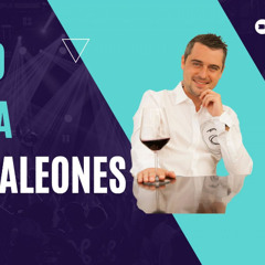 Vino para Camaleones Cap 22 Decantar el vino o no EL CHATEAU PORTUGUES