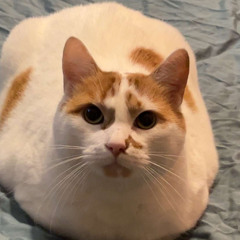 Ízleifur - Kenni sjálfum mér um (UNI flip demo)