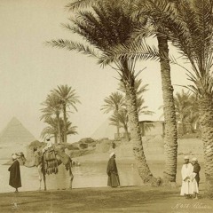 Cairo Express  إلى القاهرة