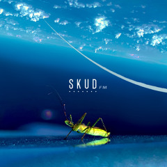 SKUD FM 7 - seize the day