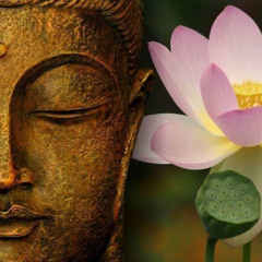 КАК «ПРАВИЛЬНО ДЕЛАТЬ» ПРАКТИКИ! ВАЖНО!