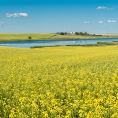 On The Prairie