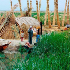 ‎⁨كريم منصور | شهدن علي زور⁩