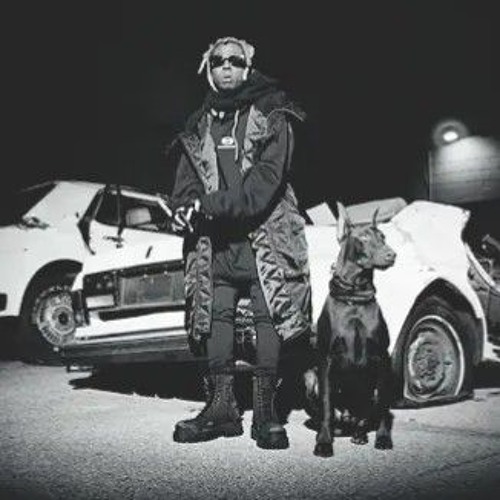 Stream Big Dogg by Rickydee | Listen online for free on SoundCloud