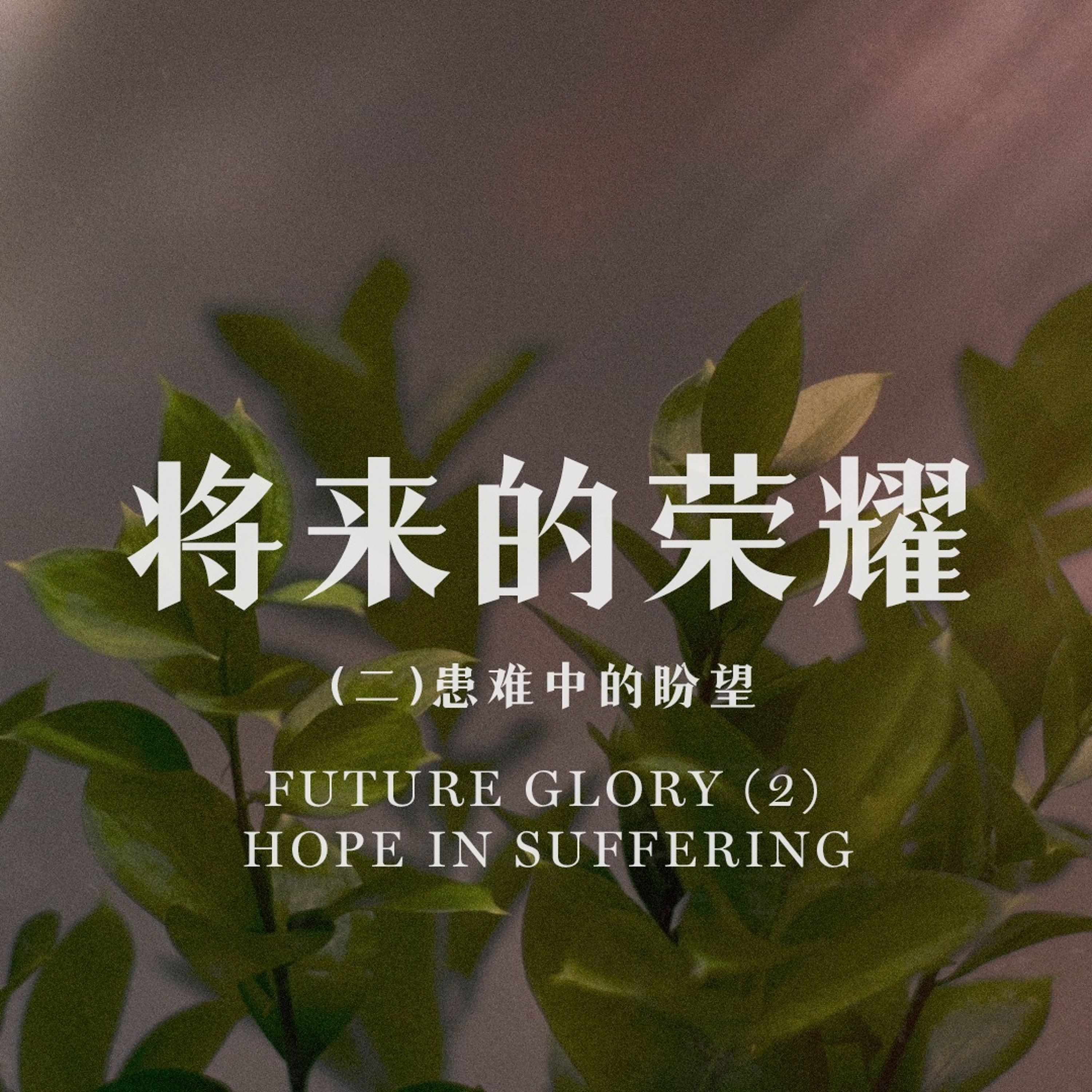 07/14/2024 【罗马书】将来的荣耀（二）患难中的盼望（罗 8:18-27）——王唯权 牧师 episode artwork