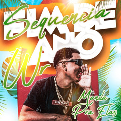 SEQUENCIA FIM DE ANO 2.0 - WR MANDA PRA ELAS