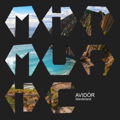 01 - Avidor - Wanderland(Original Mix)