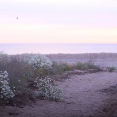 whereismylove - practice